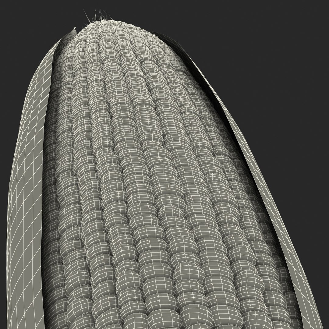 3d corn 2 model https://p.turbosquid.com/ts-thumb/gr/0rhyhE/n17yZ0pz/3dmodelofcorn24/jpg/1453116784/1920x1080/fit_q87/01163e14e1458e3620ceace09bab07451fd1bf02/3dmodelofcorn24.jpg