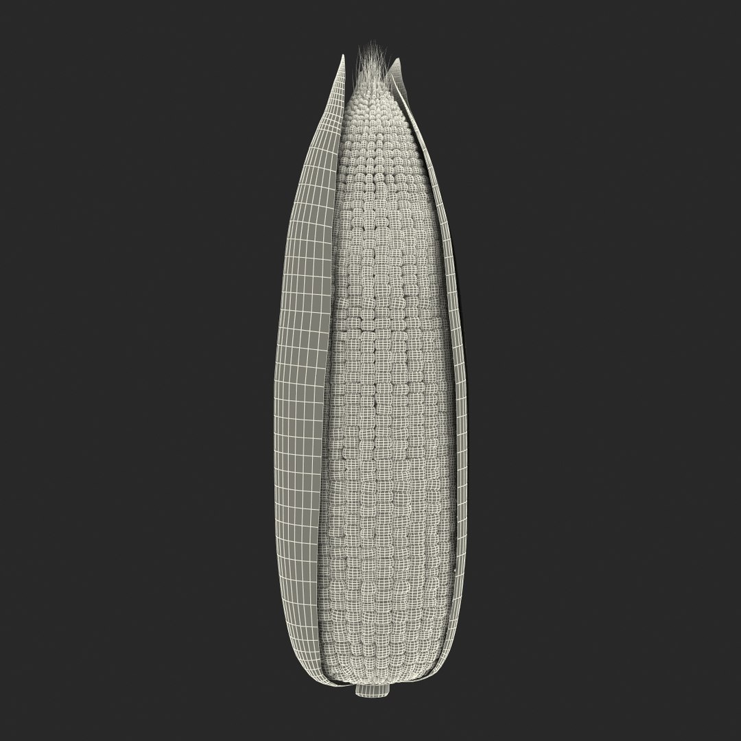 3d corn 2 model https://p.turbosquid.com/ts-thumb/gr/0rhyhE/noxsR0SZ/3dmodelofcorn19/jpg/1453116783/1920x1080/fit_q87/3b9db30f969c95b703afcf0885ea7db780f64afb/3dmodelofcorn19.jpg