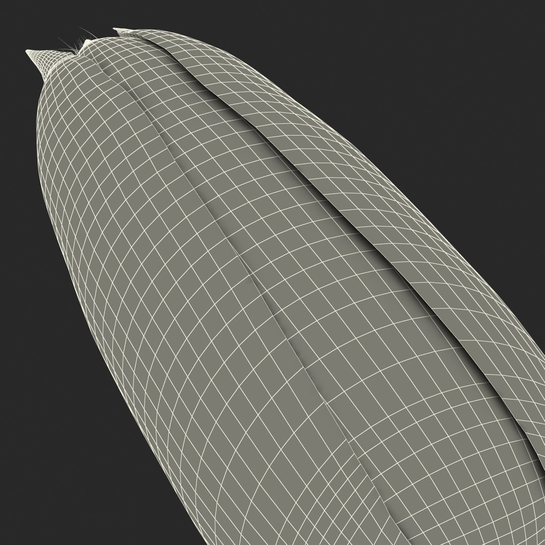 3d corn 2 model https://p.turbosquid.com/ts-thumb/gr/0rhyhE/w2QMjOv4/3dmodelofcorn23/jpg/1453116784/1920x1080/fit_q87/e9df6af42dd88fcdc55a3917dcbe83e4a8bd6c8a/3dmodelofcorn23.jpg