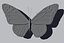 MonarchButterflyDC