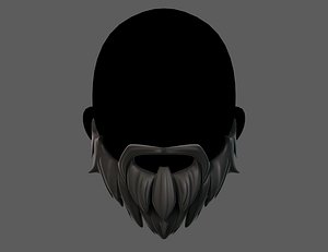Beard V01