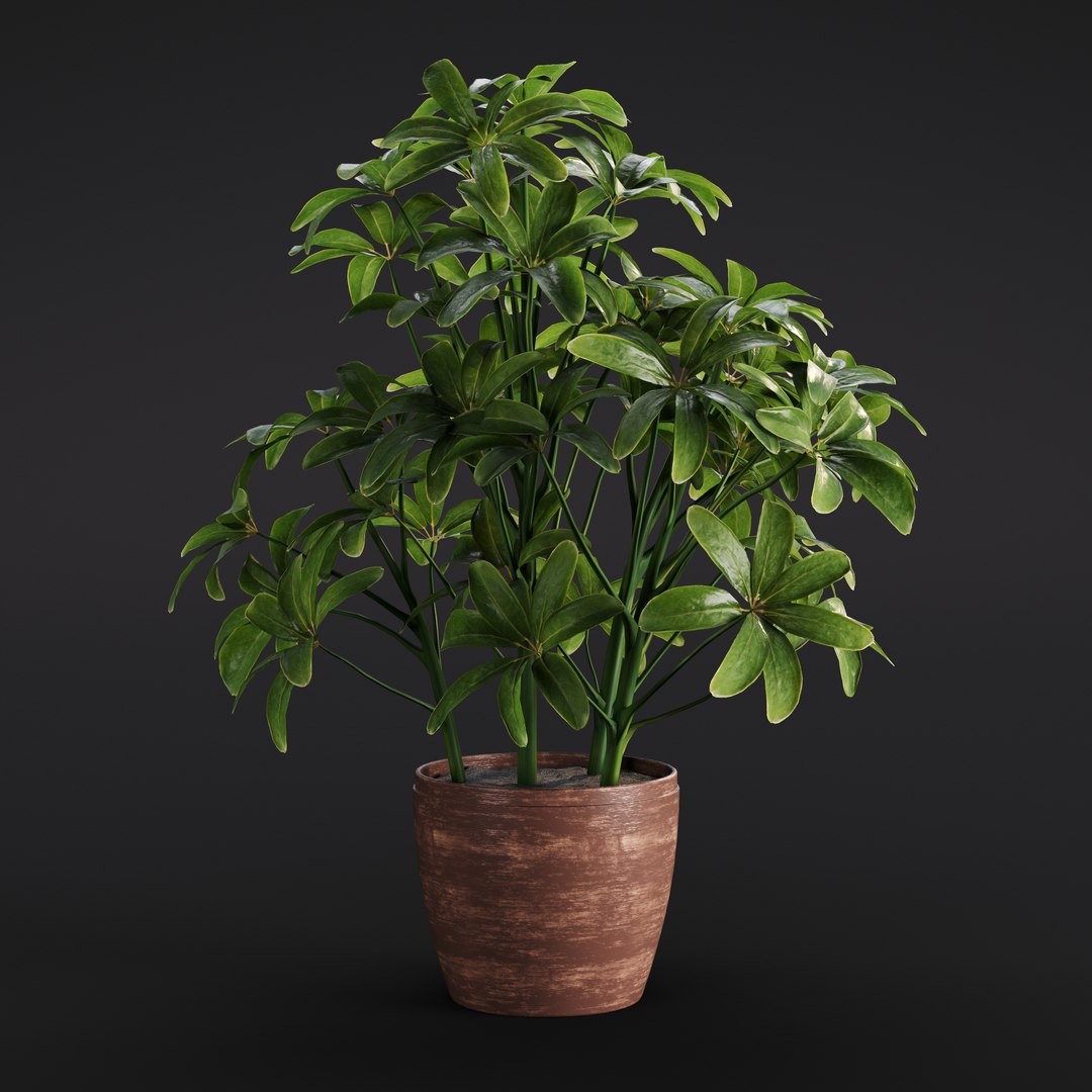 3D Model Archmodels Vol 282 For C4d - TurboSquid 2203663