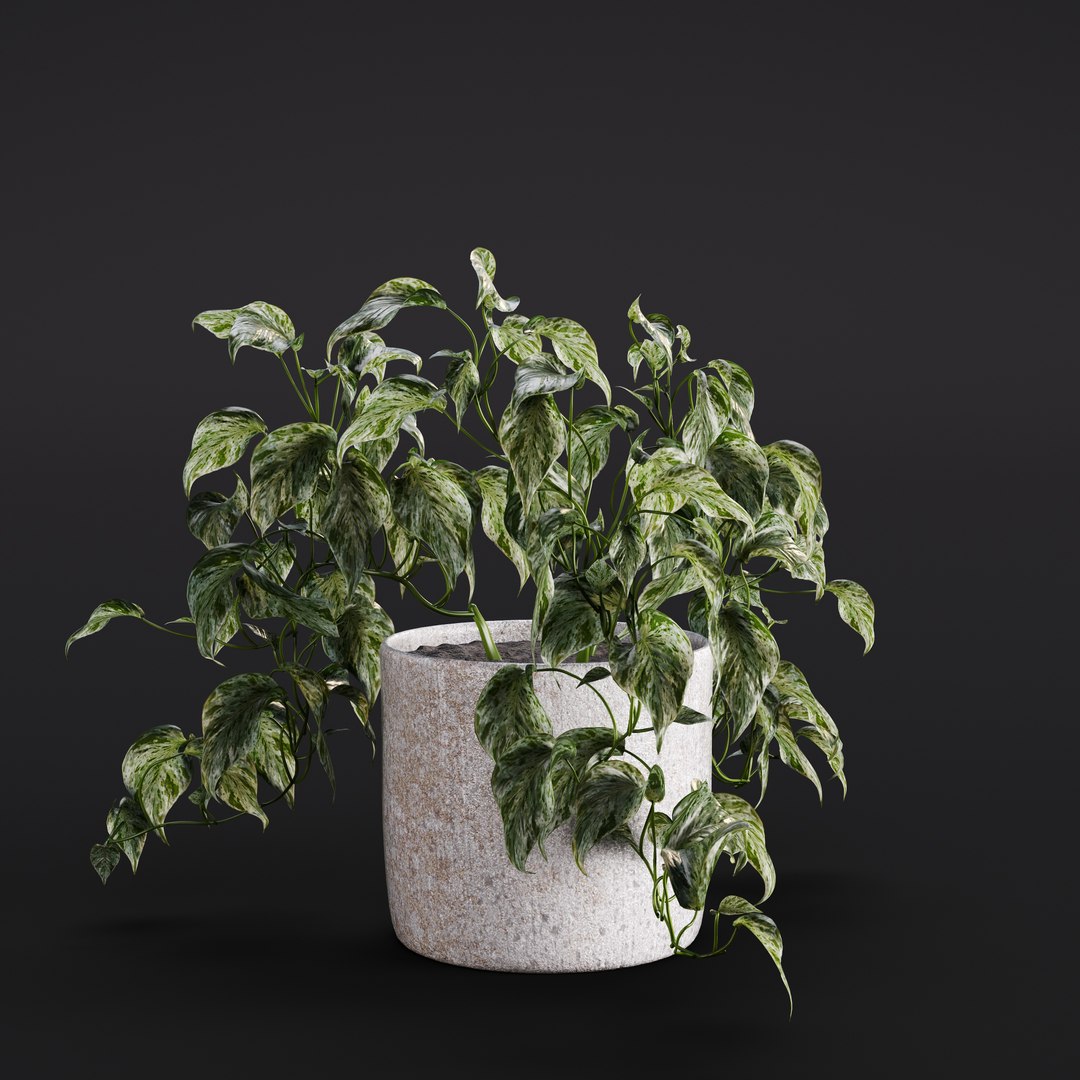 3D Model Archmodels Vol 282 For C4d - TurboSquid 2203663