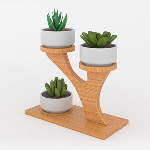 mini bonsai plants 3D model