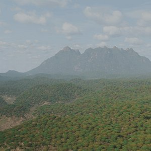 Low-Poly Procedural FOREST