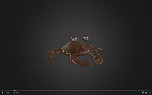 crab x