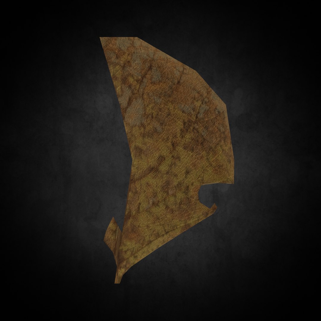 3D Low Poly Leaf 028 https://p.turbosquid.com/ts-thumb/gr/S4m2lp/GY/02/png/1644385123/1920x1080/fit_q87/77d655f549d8a99f296ef72a9d5bd11f5a07d2ec/02.jpg