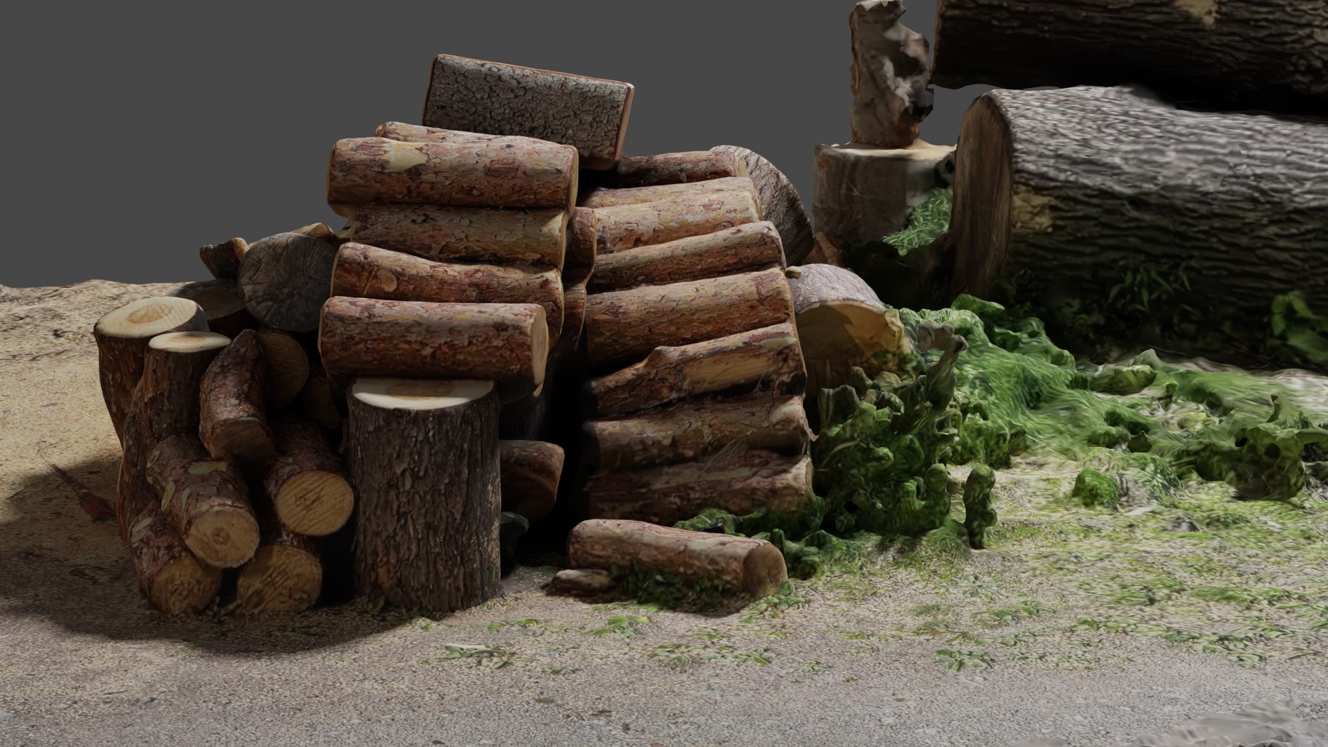 Wood chopped 3d scan 3D model https://p.turbosquid.com/ts-thumb/gr/cJozj7/X3/image0003/jpg/1653376916/1920x1080/fit_q87/74152bf83f717e9035cf17dcdb7dbe8f23f3264b/image0003.jpg