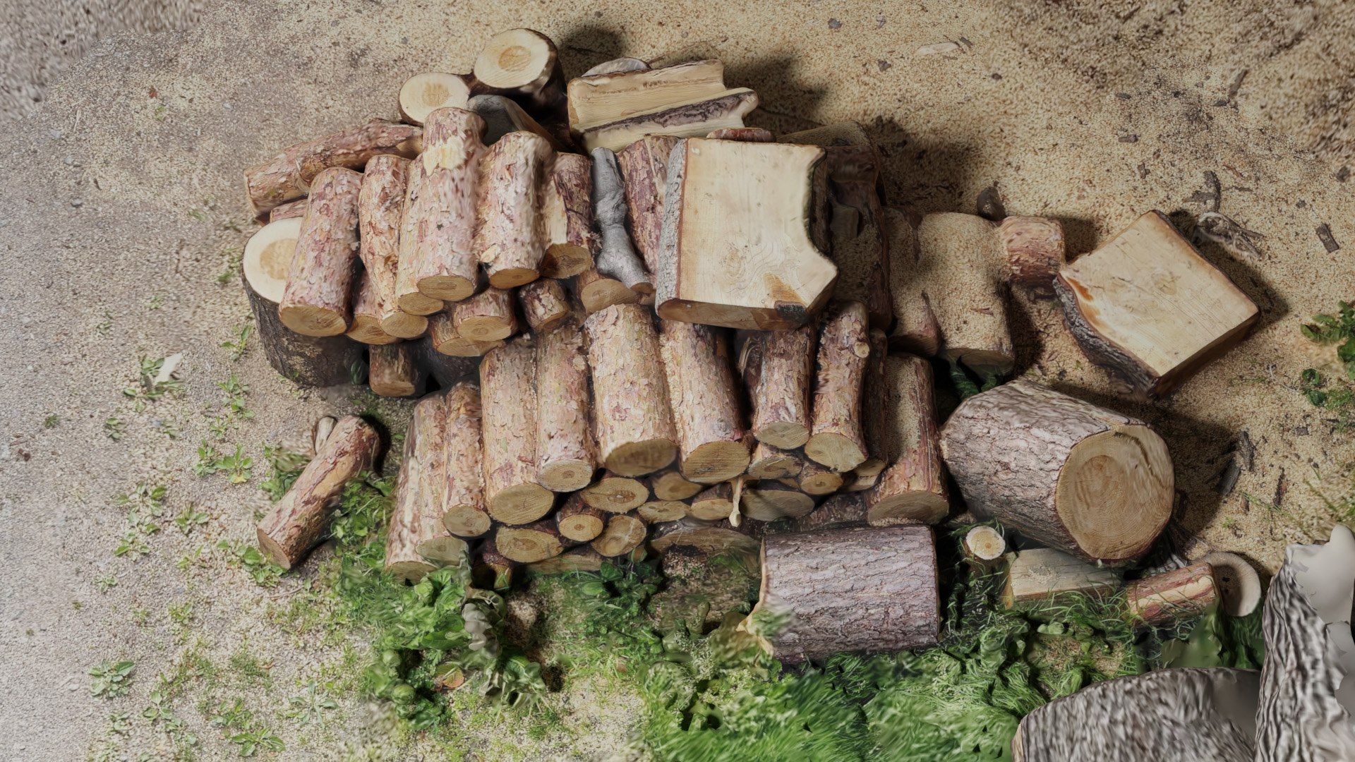 Wood chopped 3d scan 3D model https://p.turbosquid.com/ts-thumb/gr/cJozj7/zI/image0004/jpg/1653376913/1920x1080/fit_q87/d03d15bd4aa53da8a206502b8e9dd093fb3e131e/image0004.jpg