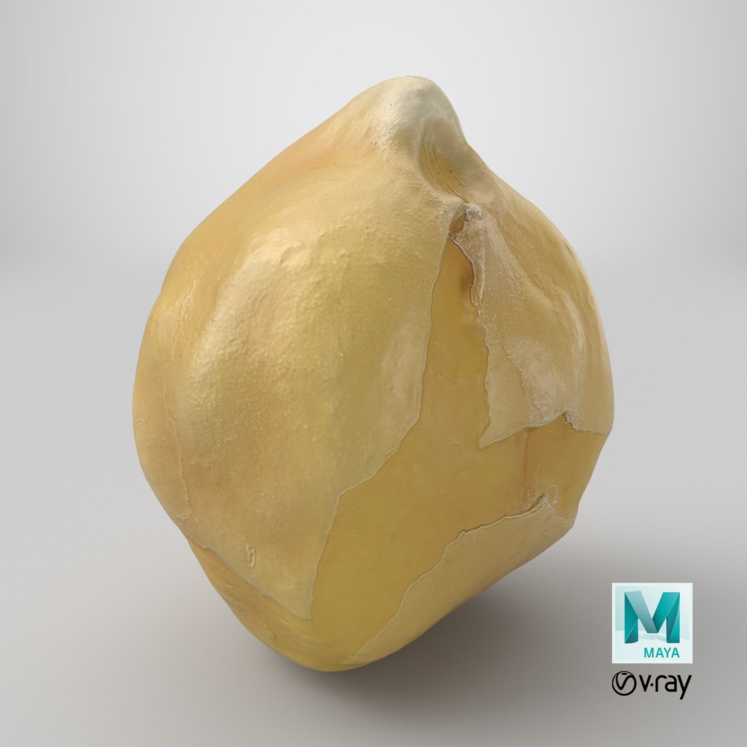 3D Boiled Chickpea 03 model https://p.turbosquid.com/ts-thumb/gr/lipBLA/5m/stemcell_maya_vray_render/png/1765638182/1920x1080/fit_q87/42ca3760875ed6634a0a07233eebd6661ddf5854/stemcell_maya_vray_render.jpg