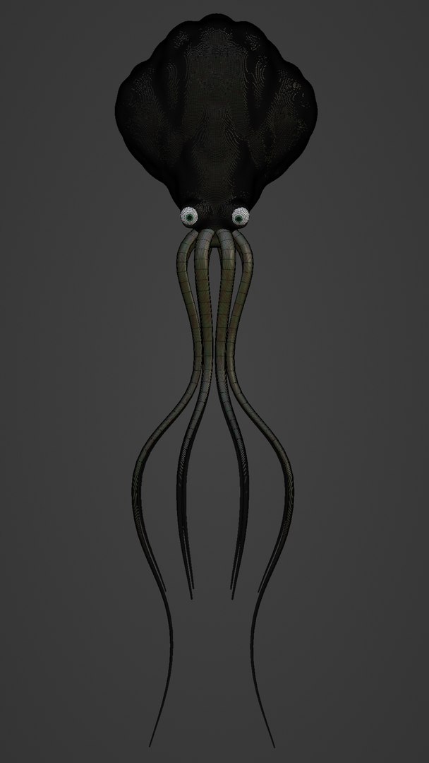 3D Squid https://p.turbosquid.com/ts-thumb/gr/tYmQ0e/Iv/wirefranefar/png/1642807789/1920x1080/fit_q87/1d05075f38708aa489626d4df92a79789d553ca6/wirefranefar.jpg