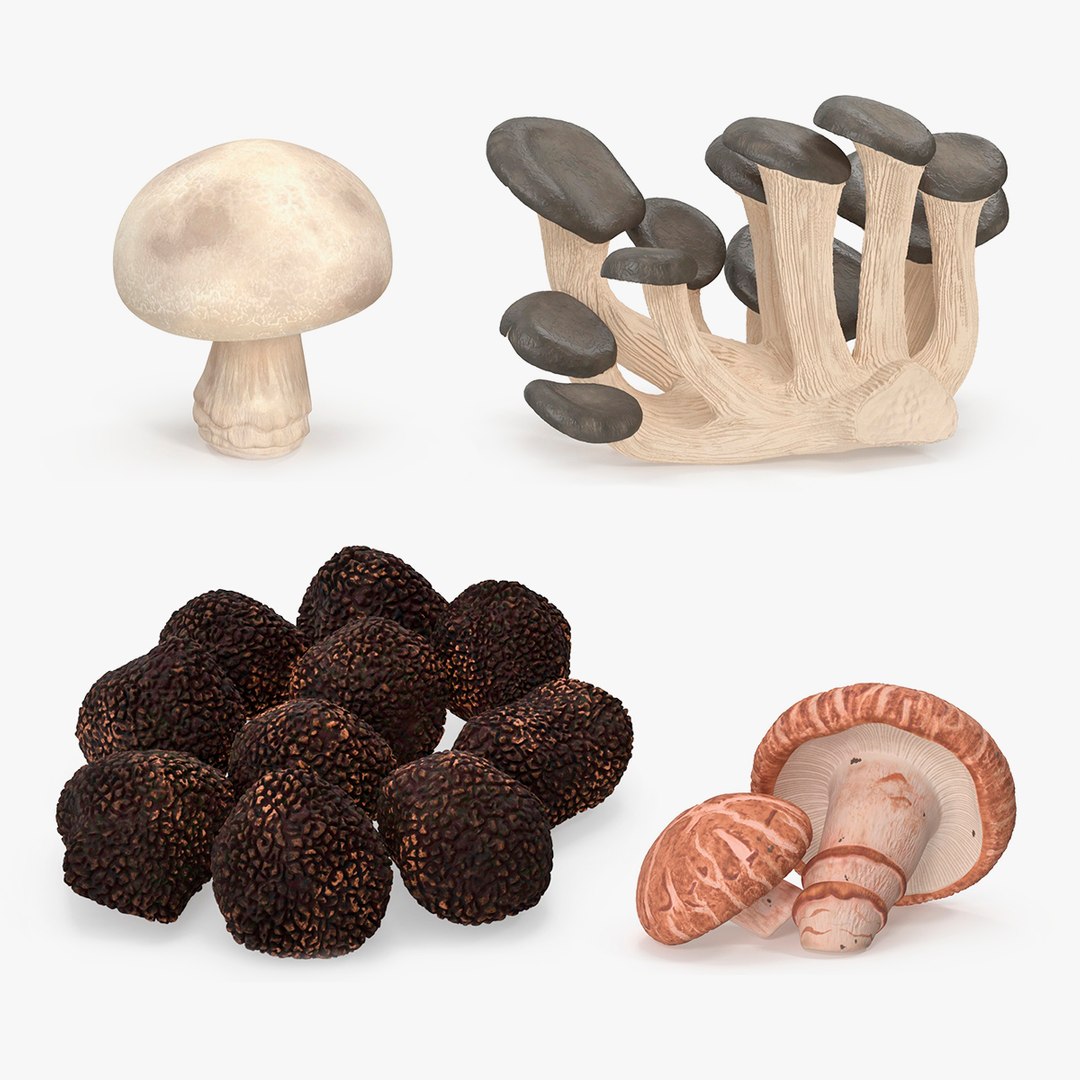 Edible Mushrooms Collection 5 3D model preview