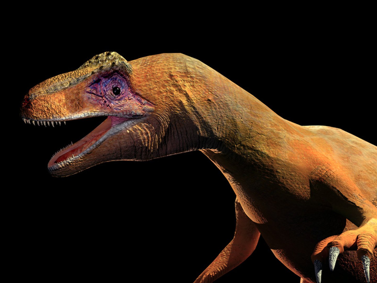 3d-max-allosaurus