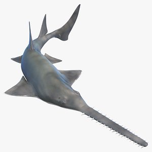3D model sawfish rigged fish