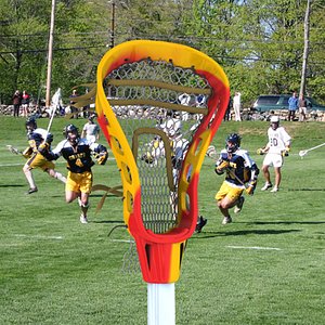 lacrosse sticks 3d model