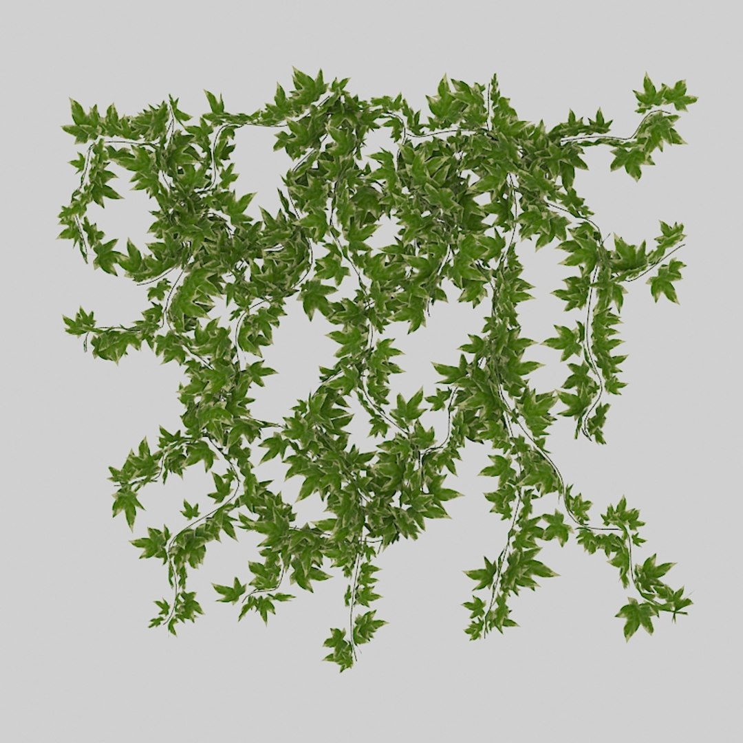 wall hanging plant max https://p.turbosquid.com/ts-thumb/gs/dtSBgF/BsuvTMzN/ivyd11/jpg/1383090170/1920x1080/fit_q87/80738a6dcf31439edddd27c9afc5237894be6937/ivyd11.jpg