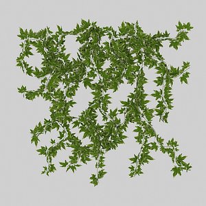Wall Hanging Plant - D