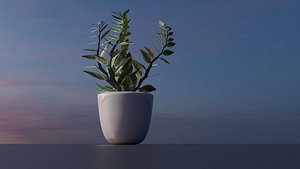 3D Pedilanthus plant model