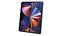 Apple iPad Pro 12-9 2021 深空灰色带铅笔