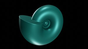 tumaricone conch smooth 3D model