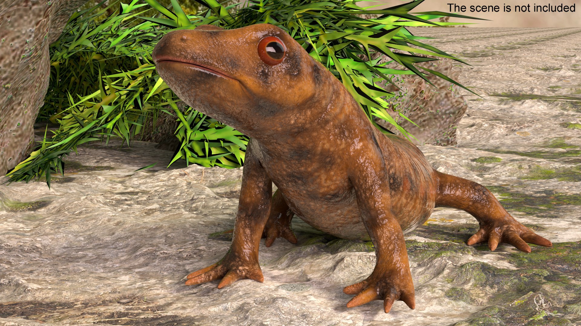 3D Iberian Ribbed Newt Rigged https://p.turbosquid.com/ts-thumb/gs/kcvRhJ/es/iberianribbednewtriggedc4dmodel012/jpg/1698217662/1920x1080/fit_q87/a6bc7a9e40a2a132bf82630fb17a714fdd37f24e/iberianribbednewtriggedc4dmodel012.jpg