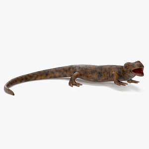 3D Iberian Ribbed Newt Rigged