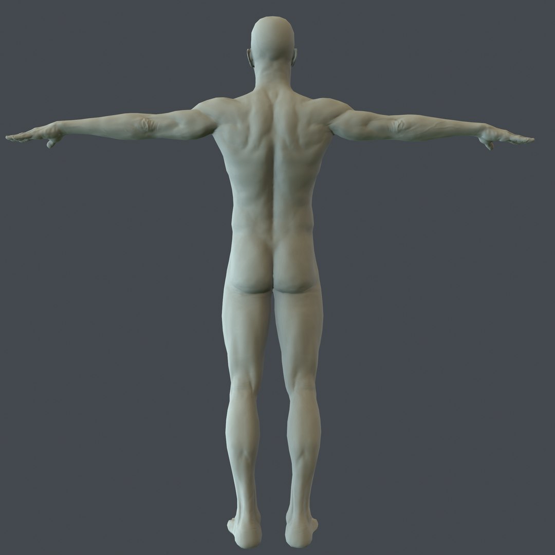 3d human male character model https://p.turbosquid.com/ts-thumb/gs/vP4GqA/1RJefuyc/screenshot006/png/1479028151/1920x1080/fit_q87/930ab740e6eb4047f9b63ceaa3f294a0b5a8551f/screenshot006.jpg