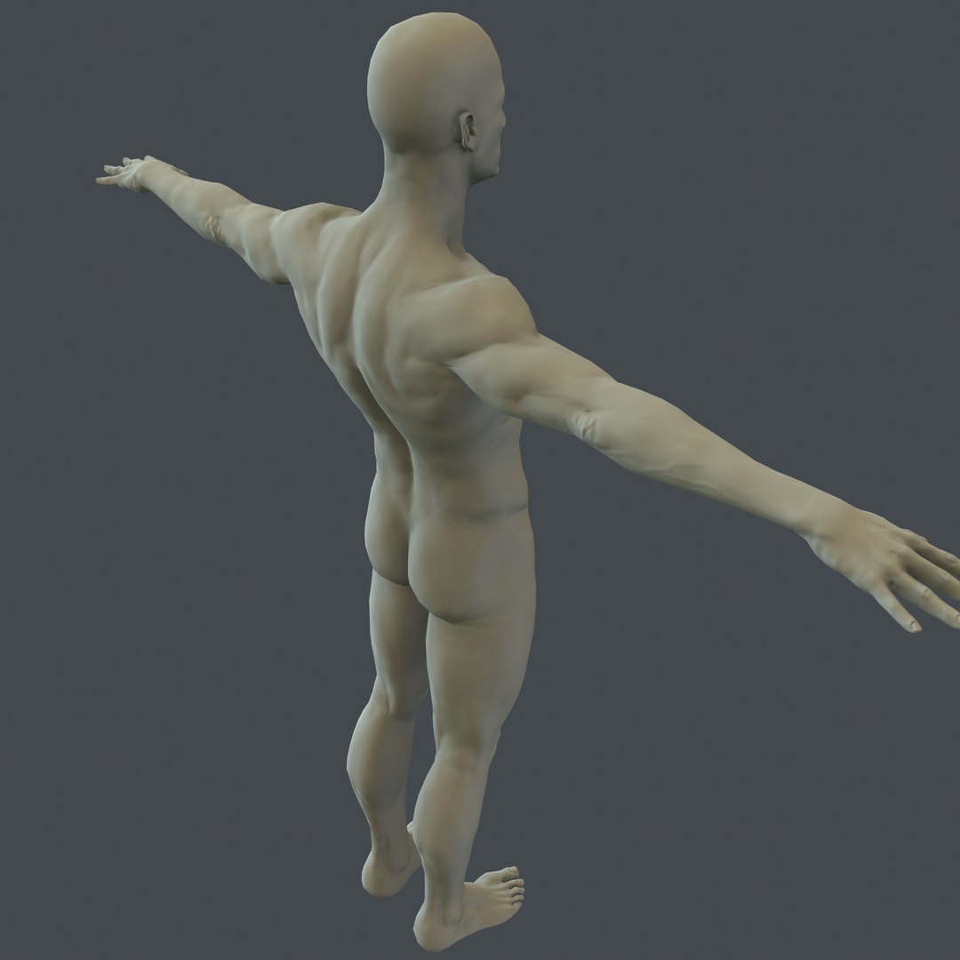 3d human male character model https://p.turbosquid.com/ts-thumb/gs/vP4GqA/Zkj1zHM3/screenshot009/png/1479028151/1920x1080/fit_q87/7a20295ac9bd23225586b8bae682e888b8e830ff/screenshot009.jpg