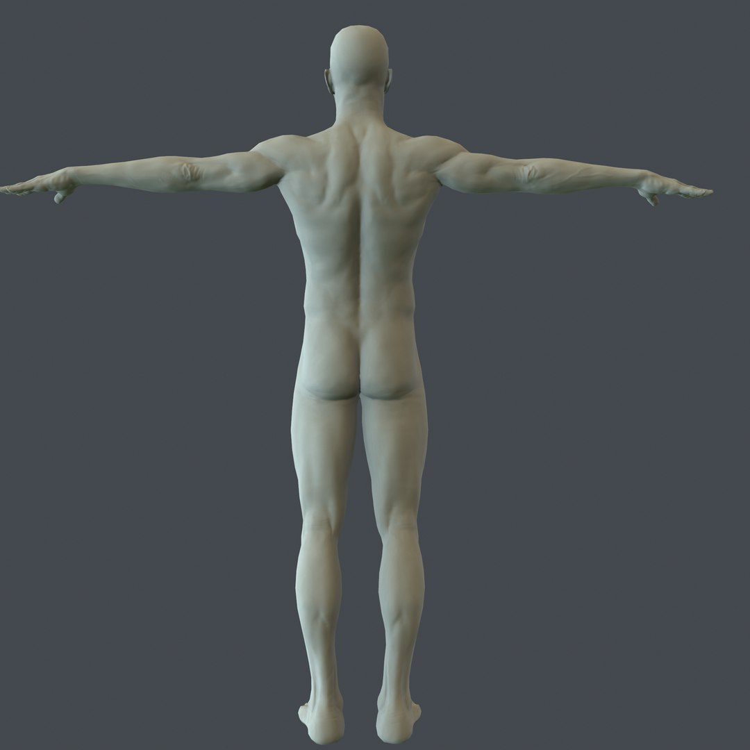 3d human male character model https://p.turbosquid.com/ts-thumb/gs/vP4GqA/cQRIwA1b/screenshot005/png/1479028151/1920x1080/fit_q87/74a45075c8266927b0feb3e385c552749cede4f9/screenshot005.jpg