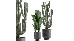 plants pot flowerpot 3D model