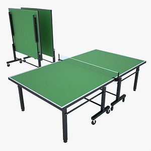 Ping Pong Table