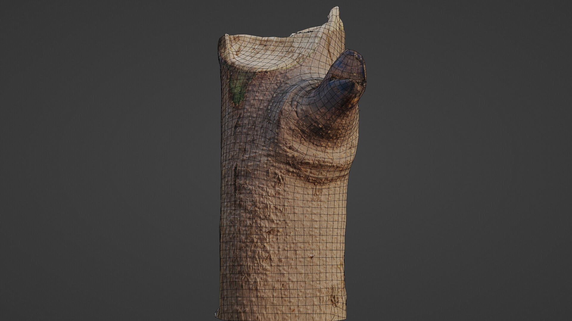Tree Log 3D - TurboSquid 2330444