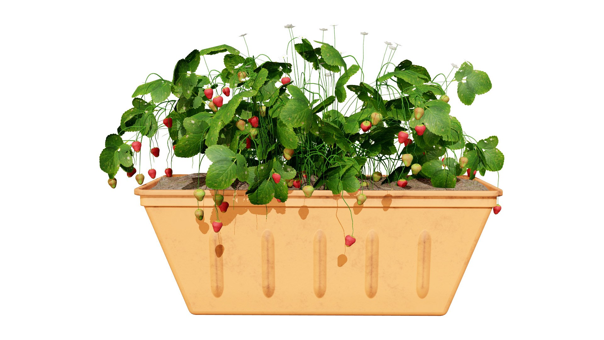 Strawberry Plants Pack - 3D Assets 3D model https://p.turbosquid.com/ts-thumb/gt/7i2ZnR/ni/1l/jpg/1735056600/1920x1080/fit_q87/3c7465f07939bc29869065b32a3c2620e601fc60/1l.jpg
