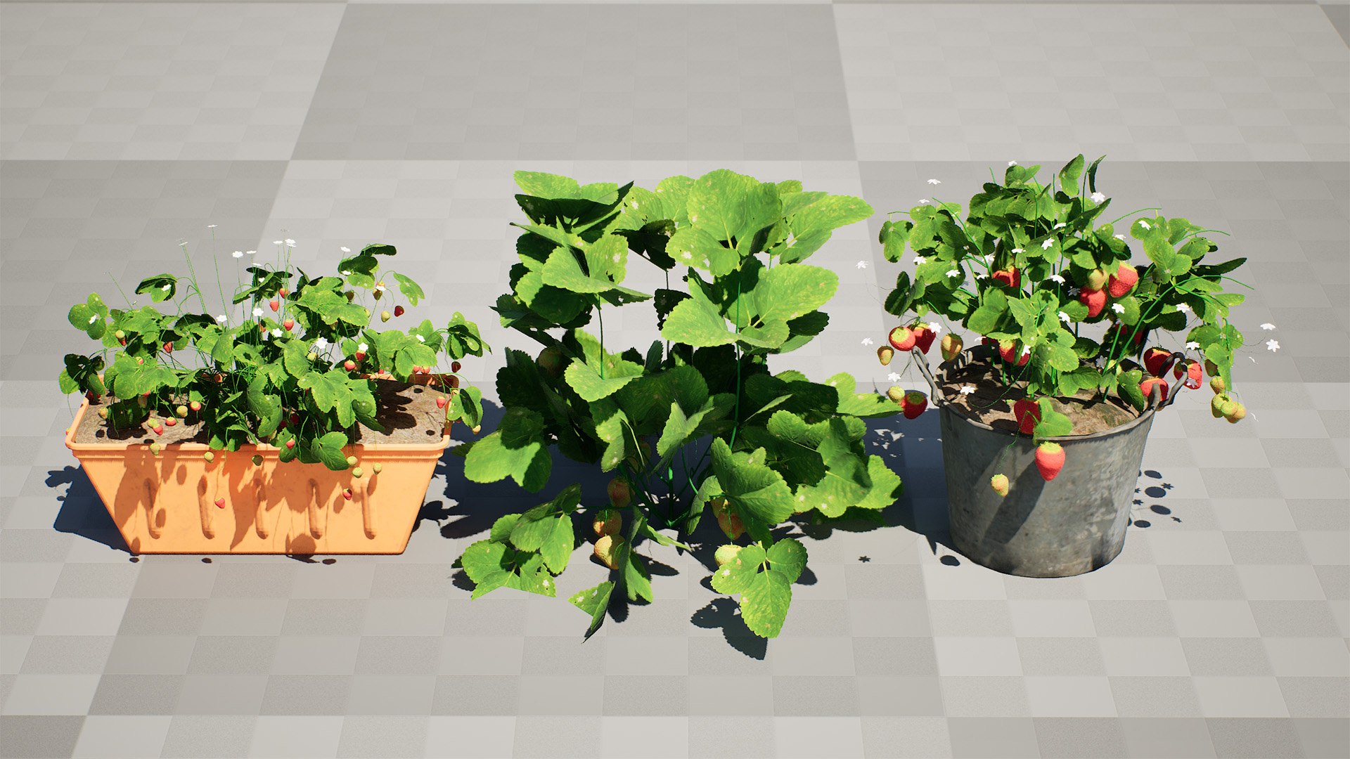 Strawberry Plants Pack - 3D Assets 3D model https://p.turbosquid.com/ts-thumb/gt/7i2ZnR/xm/highresscreenshot00000/jpg/1735056612/1920x1080/fit_q87/9b754e68e4cd088b43f970f4333041673a00c0c4/highresscreenshot00000.jpg