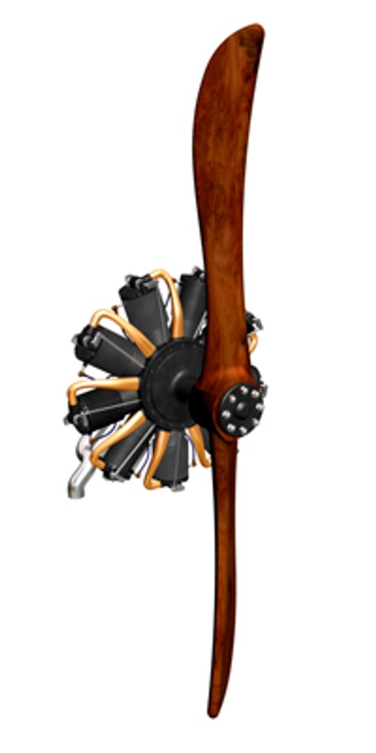 3d Gnome-rhone Aircraft Engine