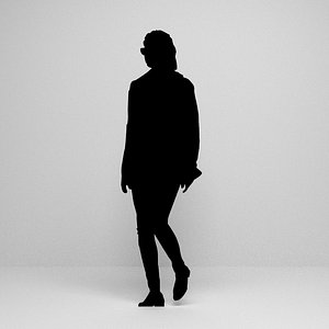 3D silhouette scenes model