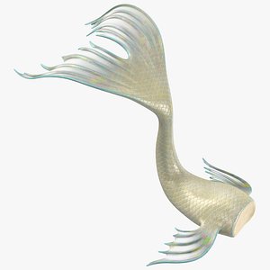 Mermaid Tail 03 Laying