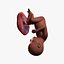 fetus week 37 3D model
