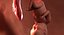 fetus week 37 3D model