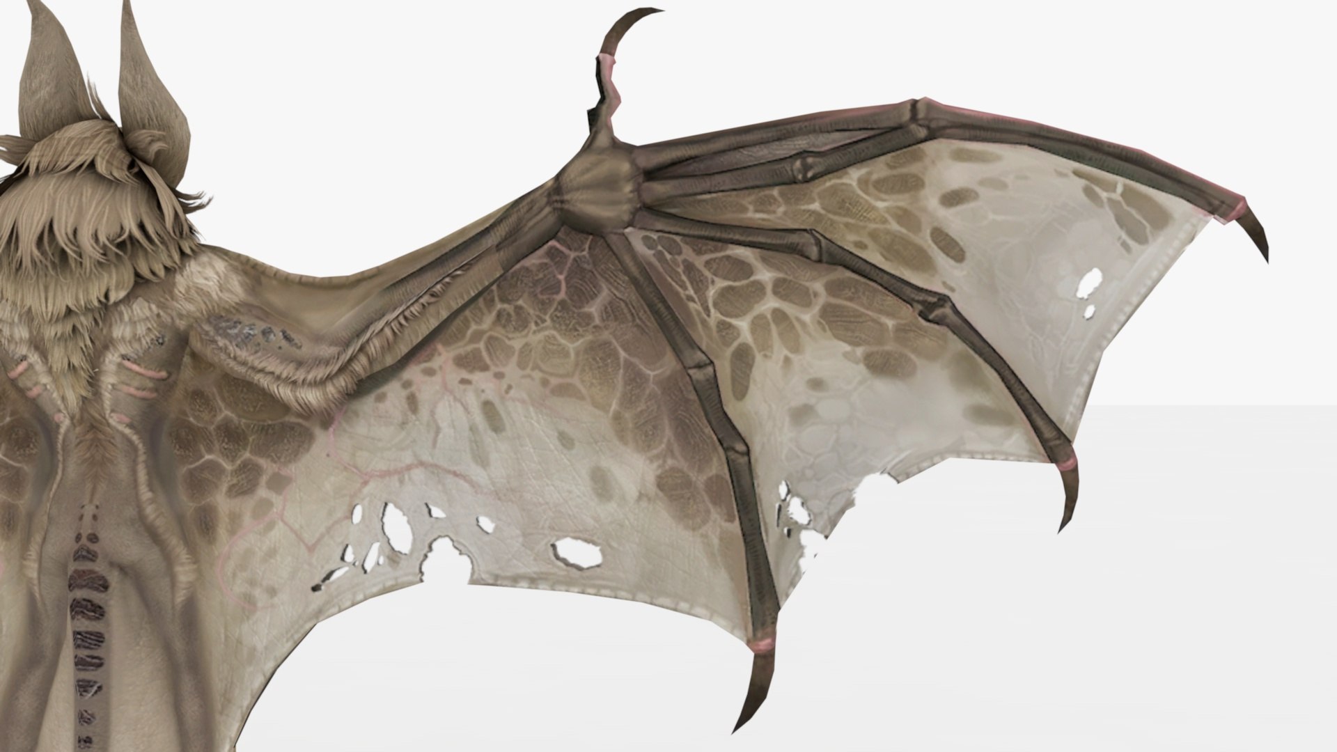 3D 3in1 Bat Rigged And Animated - TurboSquid 2343886