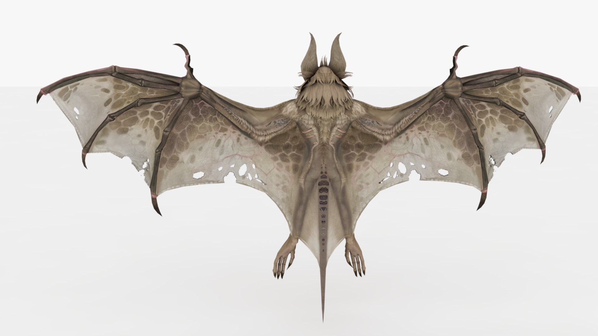 3D 3in1 Bat Rigged And Animated - TurboSquid 2343886