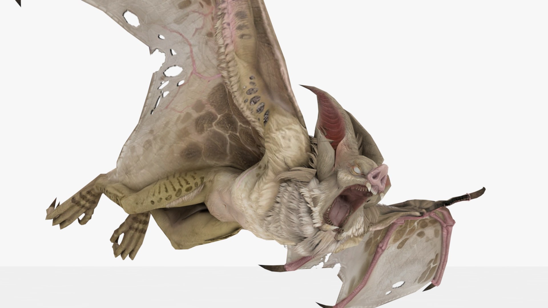 3D 3in1 Bat Rigged And Animated - TurboSquid 2343886