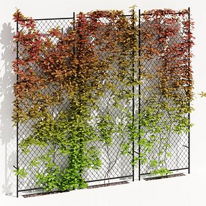 3D Ivy wall seven