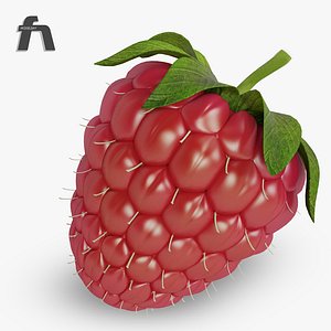 3d raspberry fruit model