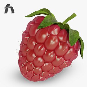 Raspberry