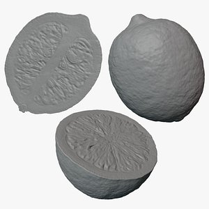 3D Lemon for 3D Print Collection