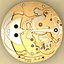 Watch Mechanism Breguet