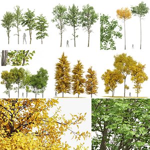 6 Different SETS of Tree  VOL 19 3D model