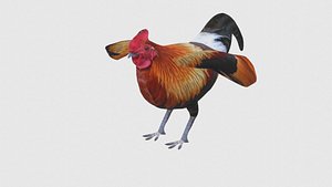 3D Low Poly Rooster Rigged With Realistic Texture