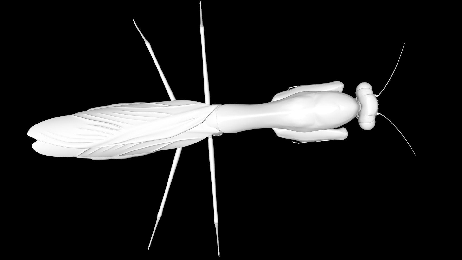 Praying Mantis 3D Model - TurboSquid 1689599